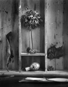 Still Life: Boxes
