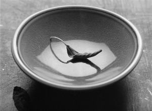 Still Life: Leaf & Bowl