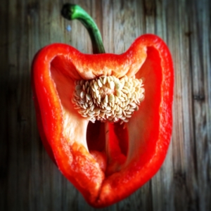 Still Life: Red Pepper